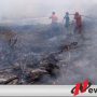 Kerahkan 300 Personil Padamkan Api dekat Areal PT DGS