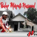 Pemkab Sumenep Dan PPMBSI Akan Gelar Lomba Balap Merpati