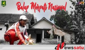 Pemkab Sumenep Dan PPMBSI Akan Gelar Lomba Balap Merpati