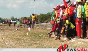 Pemkab Sumenep Gelar Balap Merpati Tingkat Nasional