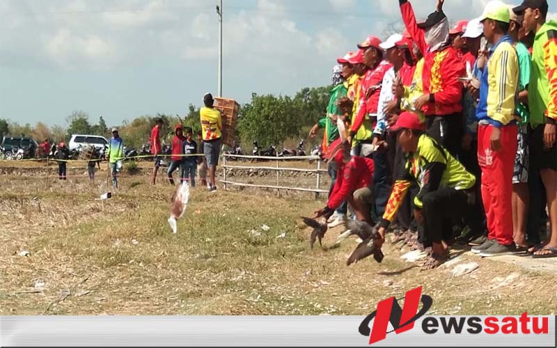 Pemkab Sumenep Gelar Balap Merpati Tingkat Nasional