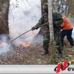 Tim Gabungan Terus Berupaya Padamkan Api Di Lereng Gunung Raung