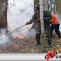 Tim Gabungan Terus Berupaya Padamkan Api Di Lereng Gunung Raung