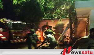 Warga Probolinggo Digegerkan Dengan Kebakaran Pohon Bambu