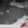 Polres Jakarta Barat Tangkap 5 Pelaku Pembobol Gudang