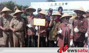 Pemkab Bondowoso Mendorong Produksi Pisang Cavendish  Dengan Konsep Agroindustri