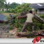 Pohon Tumbang, Personel Kembangbahu Turun Tangan