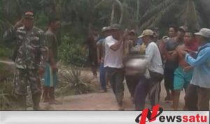 Anggota TNI Kodim 0402 OKI Gugur Saat Selamatkan Warga dari Amukan Gajah Liar