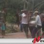 Anggota TNI Kodim 0402 OKI Gugur Saat Selamatkan Warga dari Amukan Gajah Liar