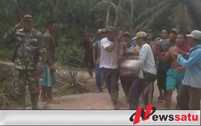 Anggota TNI Kodim 0402 OKI Gugur Saat Selamatkan Warga dari Amukan Gajah Liar