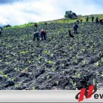 FRB Desak Pemkab Usut Tuntas Alih Fungsi Hutan