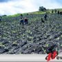 FRB  Desak  Pemkab Usut Tuntas Alih Fungsi Hutan