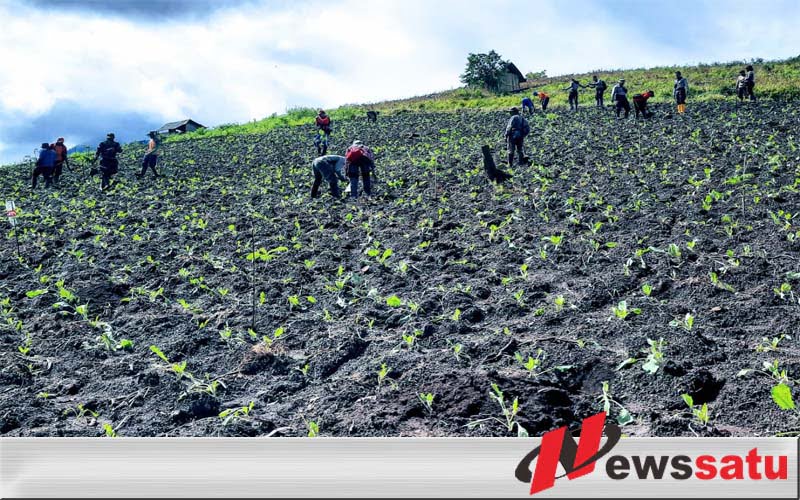 FRB  Desak  Pemkab Usut Tuntas Alih Fungsi Hutan