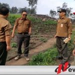 Perhutani Bondowoso Bantah Adanya Alih Fungsi Hutan