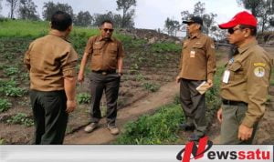 Perhutani Bondowoso Bantah Adanya Alih Fungsi Hutan