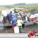 Ditengah Pandemi Petani OKI Siap Suplai Beras Dari Lahan Serasi