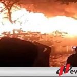 Gudang Pakan Ternak Babi Di Probolinggo Terbakar