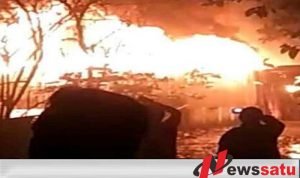 Gudang Pakan Ternak Babi Di Probolinggo Terbakar