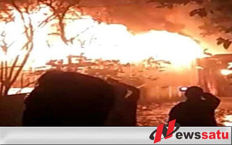 Gudang Pakan Ternak Babi Di Probolinggo Terbakar
