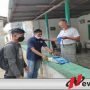PWI Sumenep Bersama Badan Intelijen Negara Bagi 2 Ribu Masker