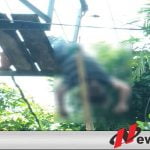 Warga Kota Probolinggo Tewas Tersetrum Listrik