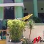 Covid-19, Masjid Agung Kota Probolinggo Tidak Gelar Sholat Jumat