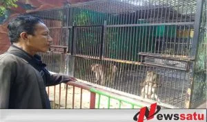 Anggaran Pakan Satwa TWSL Kota Probolinggo Tak Tergeser Covid 19