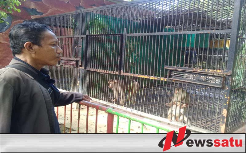 Anggaran Pakan Satwa TWSL Kota Probolinggo Tak Tergeser Covid 19