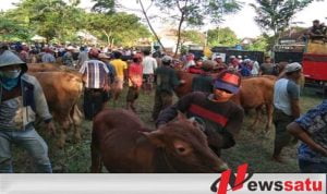 Dilarang Pemkot Probolinggo, Pedagang Sapi Pindah Tempat