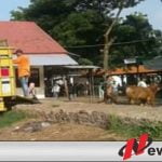 Pedagang Sapi Abaikan Larangan Pemkot Probolinggo