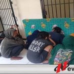 Belasan Anjal Diamankan Satpol PP Kota Probolinggo