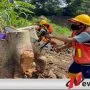 Diterpa Corona, Pengembang Tetap Lanjutkan Pembangunan