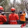 Kolaborasi Kunci Pengendalian Karhutbunlah Di Ogan Komering Ilir