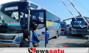 New Normal, Bus Di Kota Probolinggo Mulai Beraktivitas