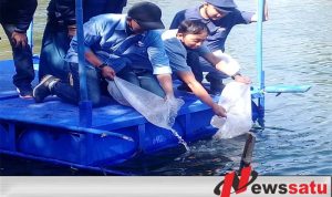 Partai Nasdem Restocking Ribuan Benih Ikan Mas Di Sumber Sentong Kota Probolinggo