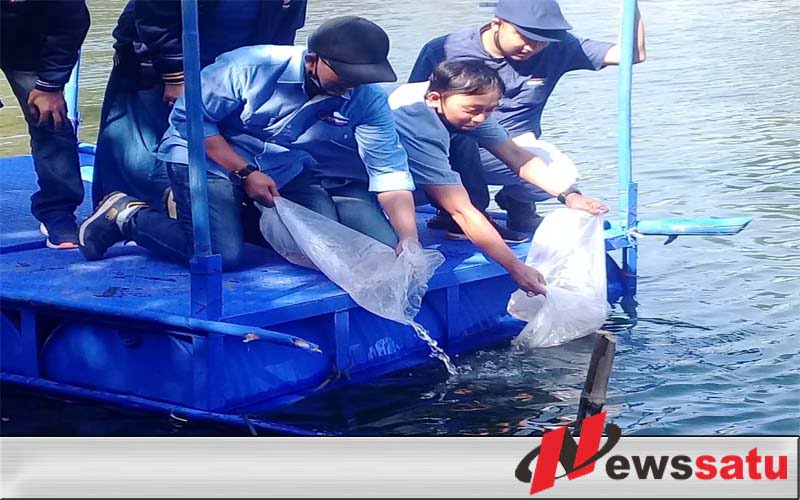 Partai Nasdem Restocking Ribuan Benih Ikan Mas Di Sumber Sentong Kota Probolinggo