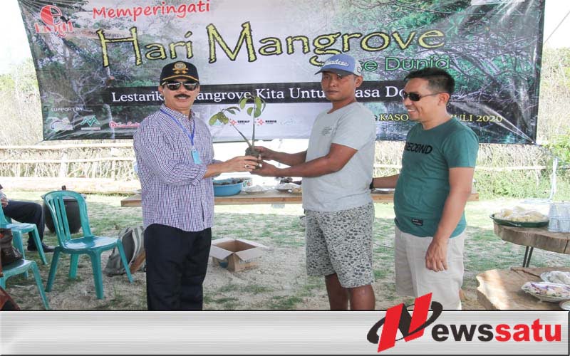 Peringati Hari Mangrove Sedunia, Fattah Jasin Tanam Mangrove Tanjung Saronggi Sumenep