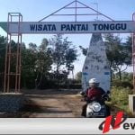 Wisata Ikan Paus Di Kabupaten Probolinggo Ramai Pengunjung