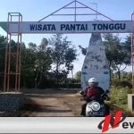 Wisata Ikan Paus Di Kabupaten Probolinggo Ramai Pengunjung