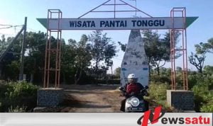 Wisata Ikan Paus Di Kabupaten Probolinggo Ramai Pengunjung