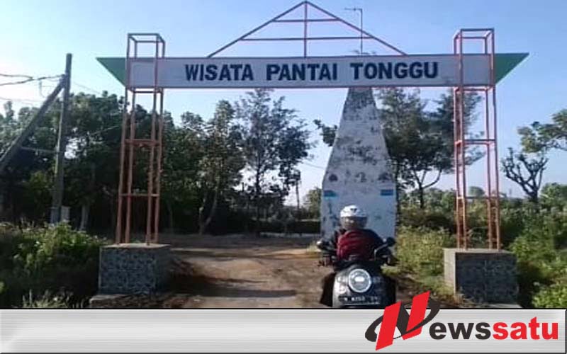 Wisata Ikan Paus Di Kabupaten Probolinggo Ramai Pengunjung
