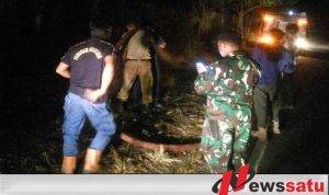 Marak Pembakaran Lahan, Api Menjalar Hingga Jalan Raya di Pamekasan