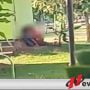 Viral Di Medsos, Sepasang Kekasih Berbuat Asusila Di Taman Maramis Di Kota Probolinggo