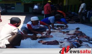 Yayasan Ponpes Raudlatul Hasaniyah Probolinggo Sembelih Hewan Kurban