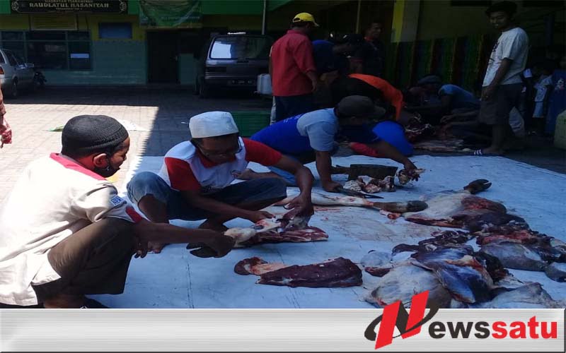 Yayasan Ponpes Raudlatul Hasaniyah Probolinggo Sembelih Hewan Kurban