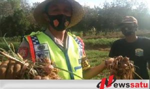 Bhabinkamtibmas Pamekasan Beri Paradigma Baru Tanam Bawang Merah di Lahan Tidur