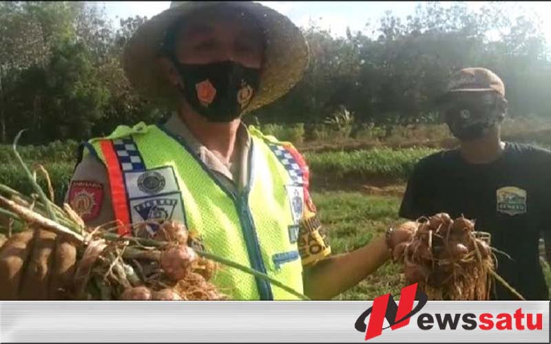 Bhabinkamtibmas Pamekasan Beri Paradigma Baru Tanam Bawang Merah di Lahan Tidur