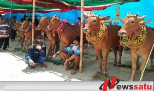 Jadi Desa Tematik Pamekasan, Waru Barat Siapkan Pusat Budaya dan TPS3R