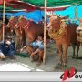 Jadi Desa Tematik Pamekasan, Waru Barat Siapkan Pusat Budaya dan TPS3R