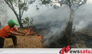 Kebakaran Hutan Di Probolinggo